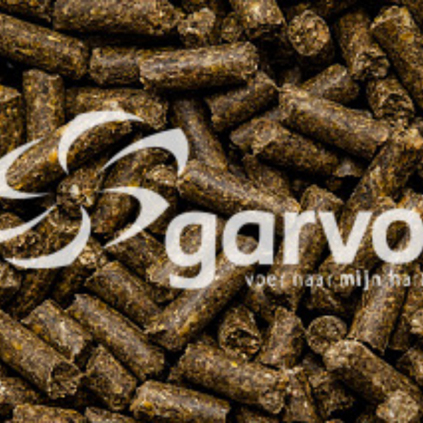 Camala Chunks (bactrian camel, lama, alpaca) Camala Chunks (bactrian camel, lama, alpaca)