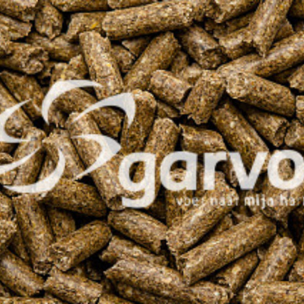 Reindeer Pellets Reindeer Pellets