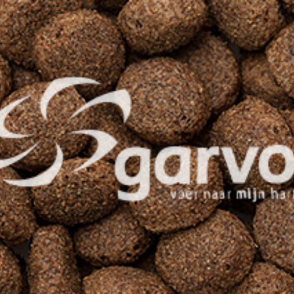 Rangers CR Dogfood Rangers CR Dogfood