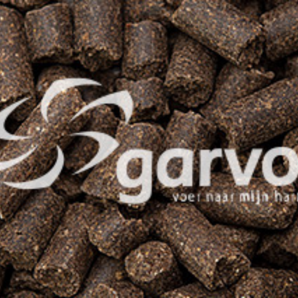 Rangers Pressed Dogfood Rangers Pressed Dogfood