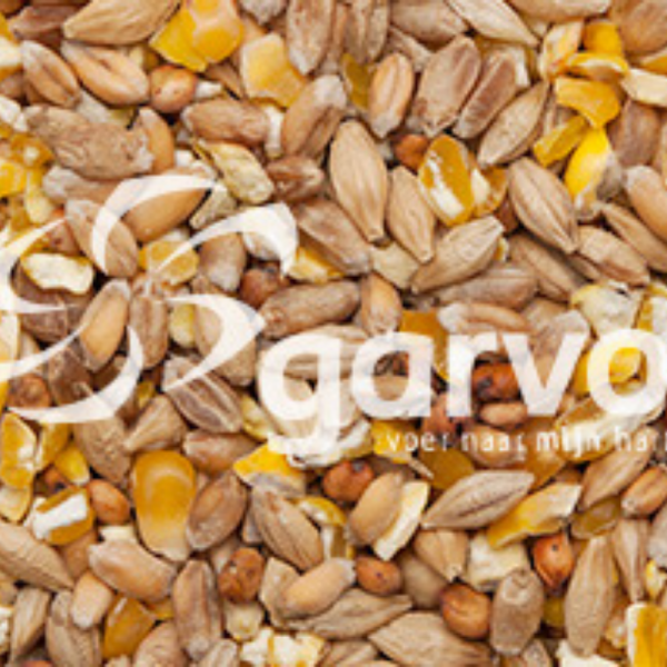 Mixed Corn with Cracked Maize Mixed Corn with Cracked Maize