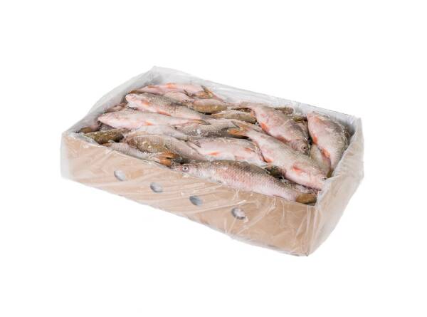 Fresh water fish - 12 kg box